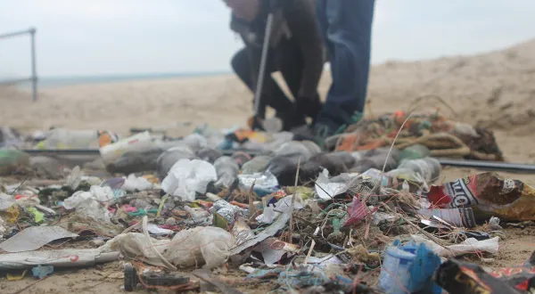 Fathombeachcleangallery 10